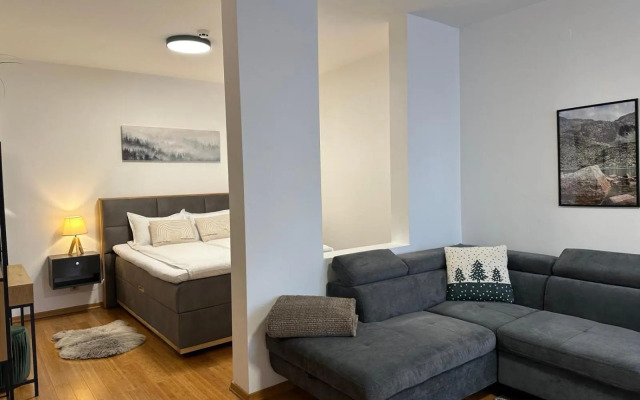 Sana Ski apartment 620 in Flora, Borovets