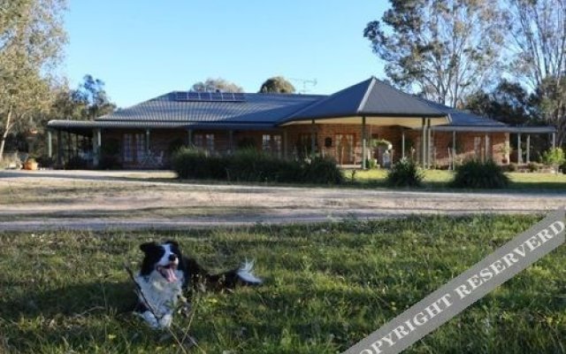 Hunter Valley Bed and Breakfast