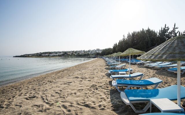 Altin Yunus Apart Beach Plus