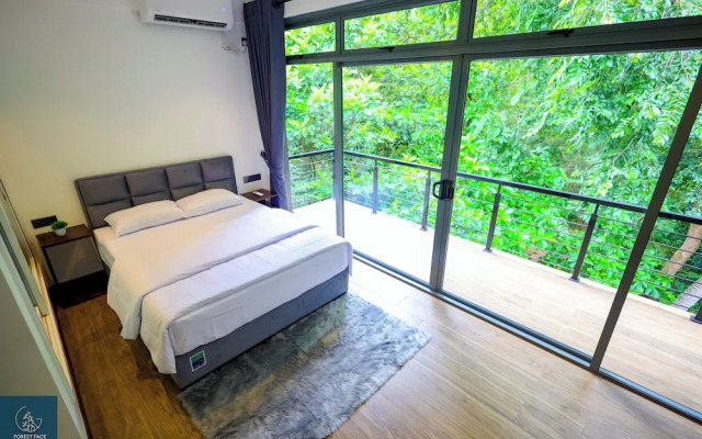 Forest Face Lodge
