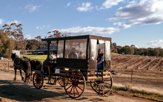 Hunter Valley Resort