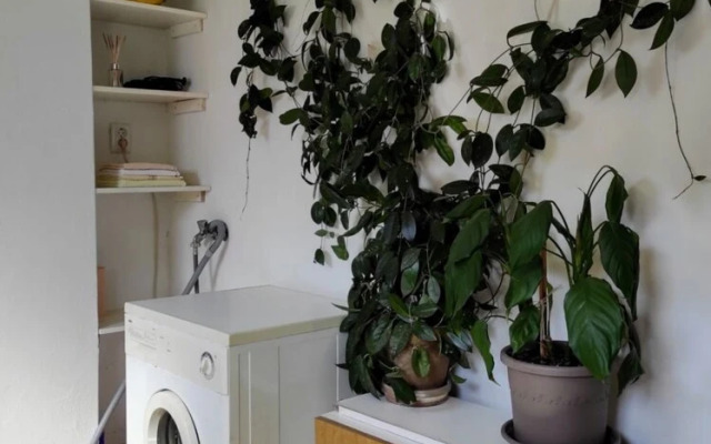 Andela - Comfortable and Affordable - A1