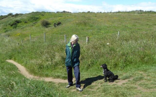 Dog Friendly Bed & Bowl Beach Chalet