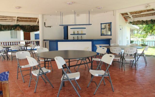 Vitalis White Sands
