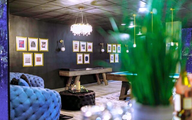 Chic Collection by NOHOTEL on PTree RD