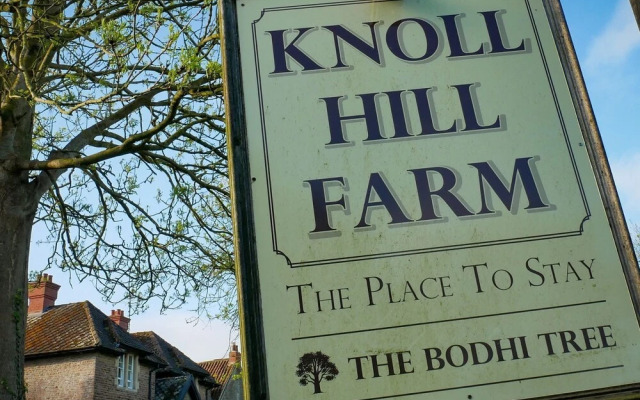 The Place To Stay