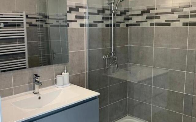 Appart 6 à 8 personnes proche centre parking gratuit