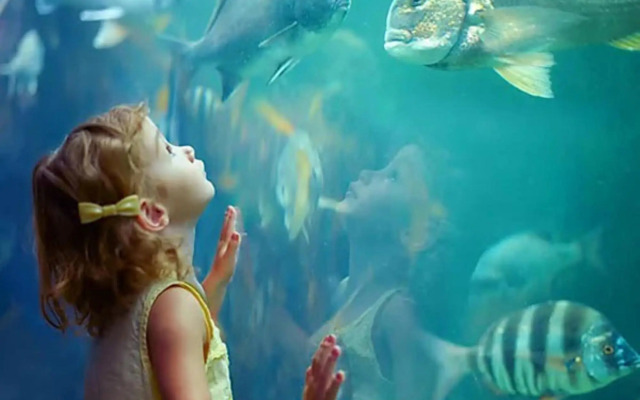 Santos Linda!! Apartment for Business and Leisure.