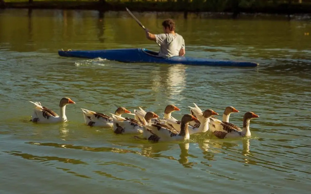 Pousada Pantanal Rancho do Nabileque