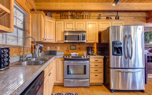 Bear Pause by Vtrips