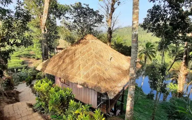 Noah's Nest Tree House