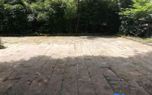 Shizhulinyoujubishushanzhuang