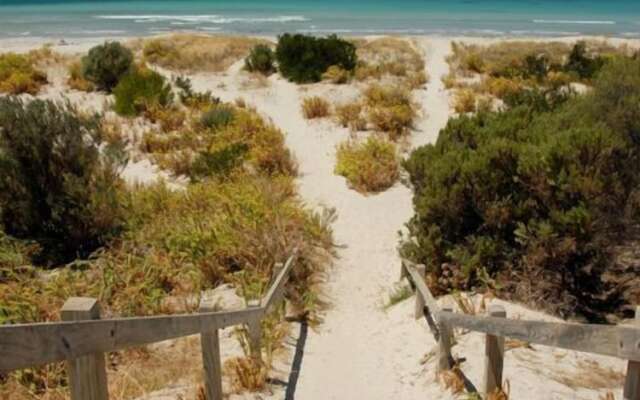 The Rookery at Christmas Cove