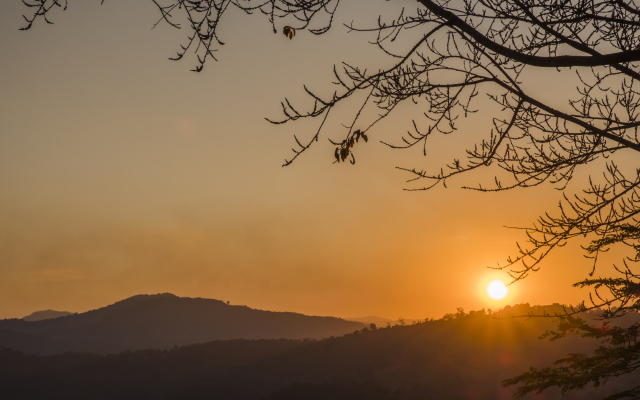 Phu Chaisai Chiang Rai Mountain Resort