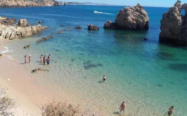 241 Oliveiras Terraces