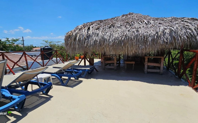 Luxury House Bungalow and apartments La Botánica Tropical