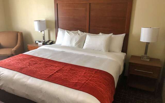 Comfort Inn Wichita Falls Near University