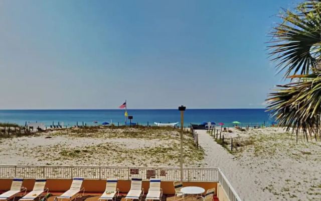 Driftwood Towers #1F - Palm View