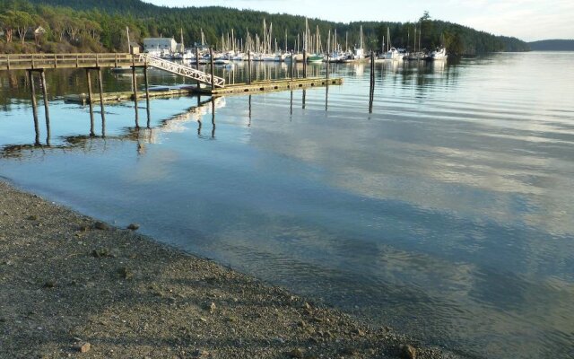 Kingfish at West Sound