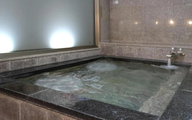 Hotel  New Gaea Iizuka