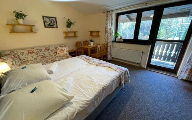 Sasanka Szczyrk przy Gondoli