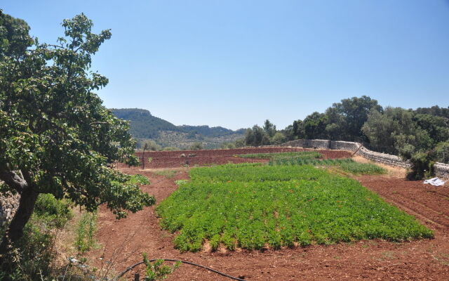 Agroturismo Sa Campaneta