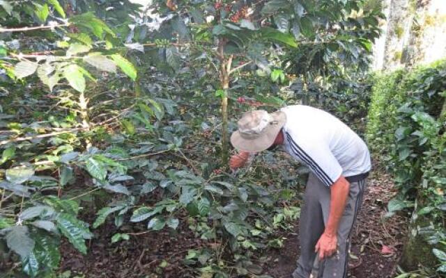 Coffee Trails Finca Las 2mm