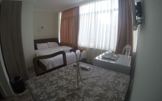 Puffin Suite