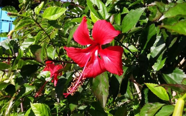 Bel Fle Missions Hotel