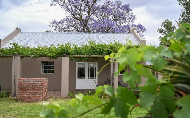 Saronsberg Vineyard Cottages