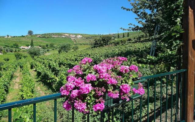 Douro Valley - Casa Vale do Douro