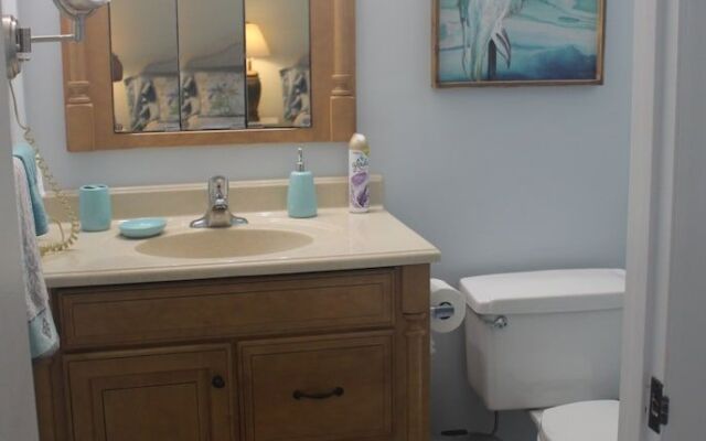 DeLand Florida Vacation Home