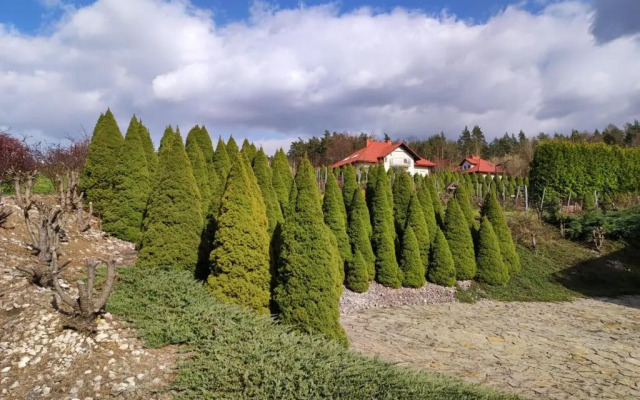 Winnica Maria Anna