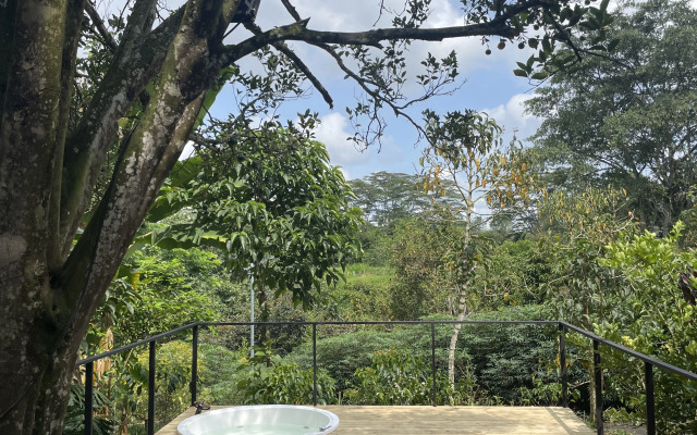 EcoHotel Alma
