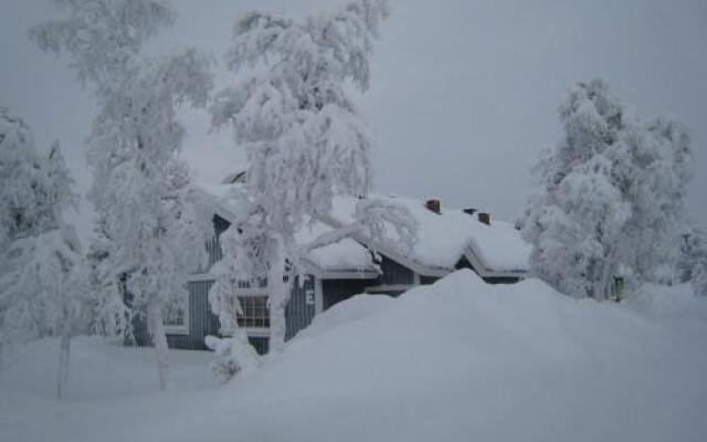 Saariselän Marjamajat