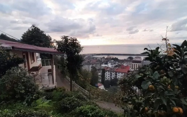 Lovely Flat Near Sea With Balcony in Cayeli