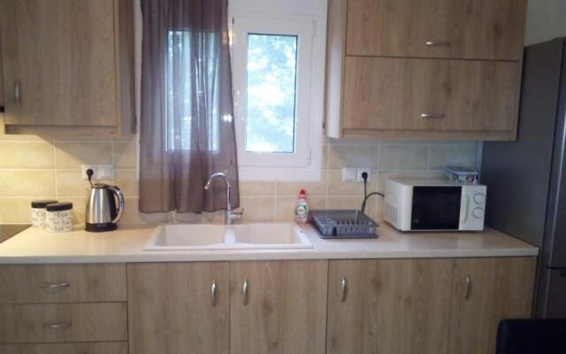 Aliveri Flat With Sea View
