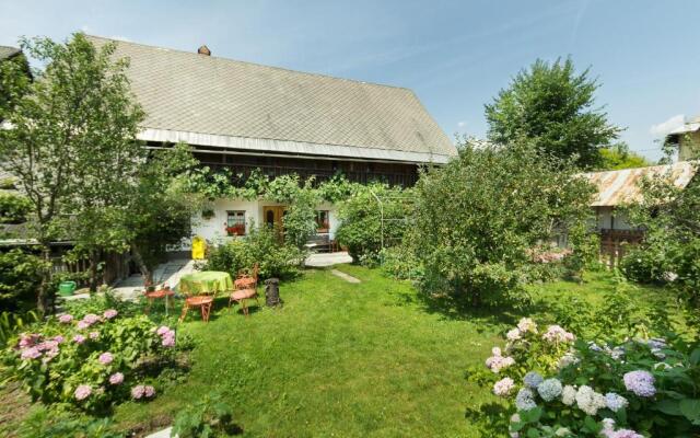 House, Garden and a Green Cat