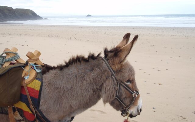 Les chambres d'hôtes de Kérael