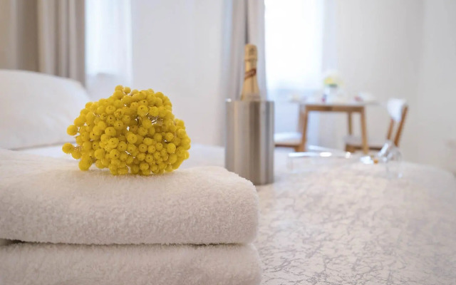 Studio Apartments Petar in old part of town