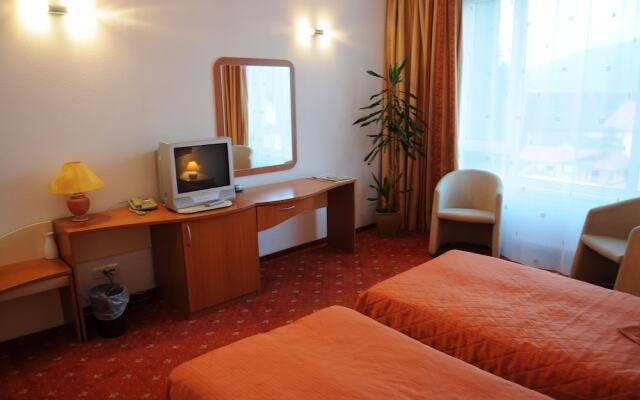 Andy Hotel Predeal