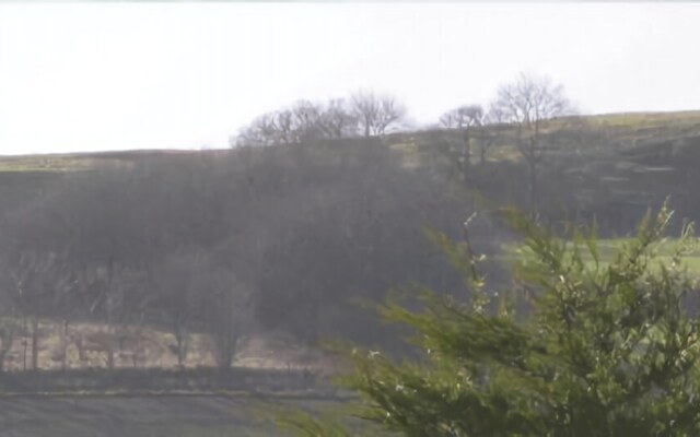 Fallady Bank Bed & Breakfast