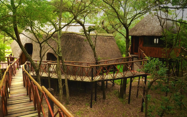 Pezulu Tree House Lodge