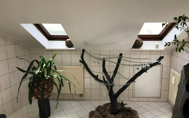 Stadtdschungel FeWo mit Balkon