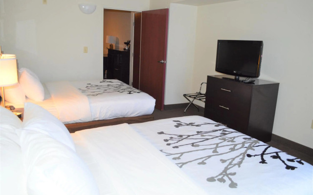 Sleep Inn & Suites Virginia Horse Center