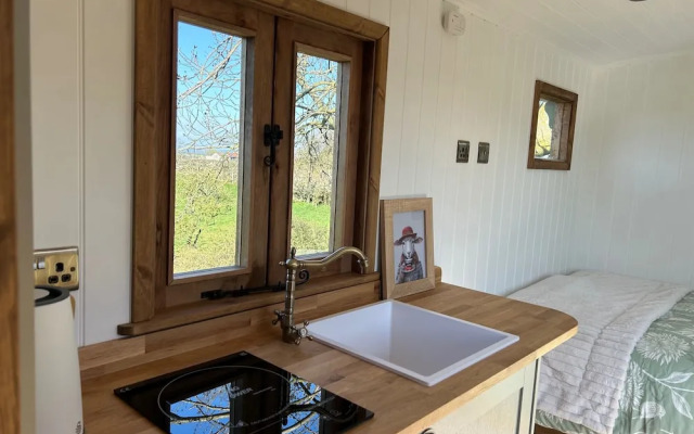 Fernlea Luxury Shepherds Hut - Sleeps 2 & Hot Tub