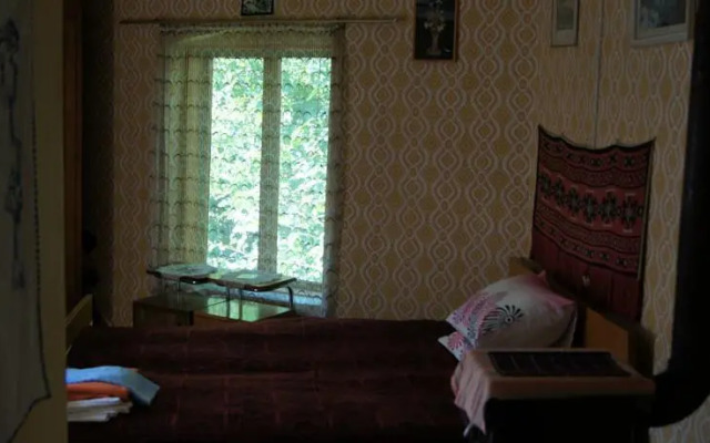 Art Villa Orlova Chuka