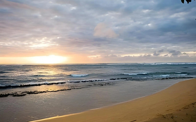 Kapaa Shore 117 by RedAwning