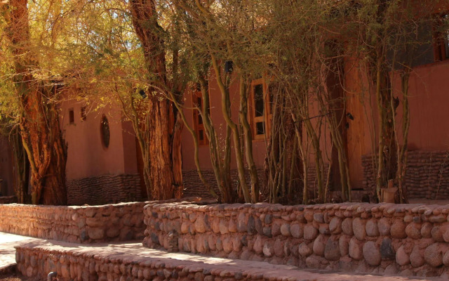 Ckoi Atacama