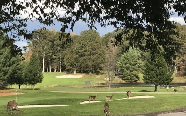 Westwood Villas, Lake Harmony, USA